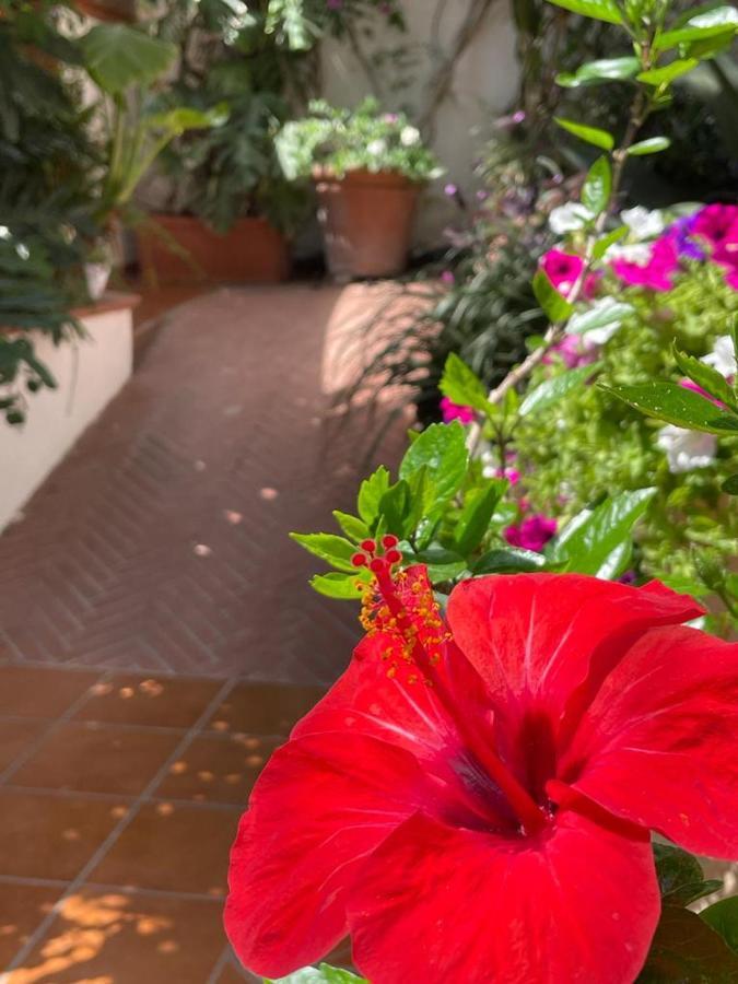 Piccolo Bed Bed and Breakfast Προτσίντα Εξωτερικό φωτογραφία